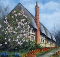 Magnolias