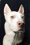 Man's Best Friend