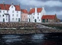 Pebbled Shoreline