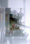 Shadows 2