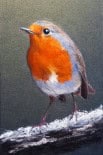 Robin Redbreast 2