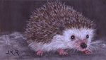 Hedgehog