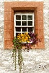Window Box
