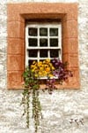 Window Box